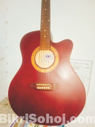 Acoustic guitar